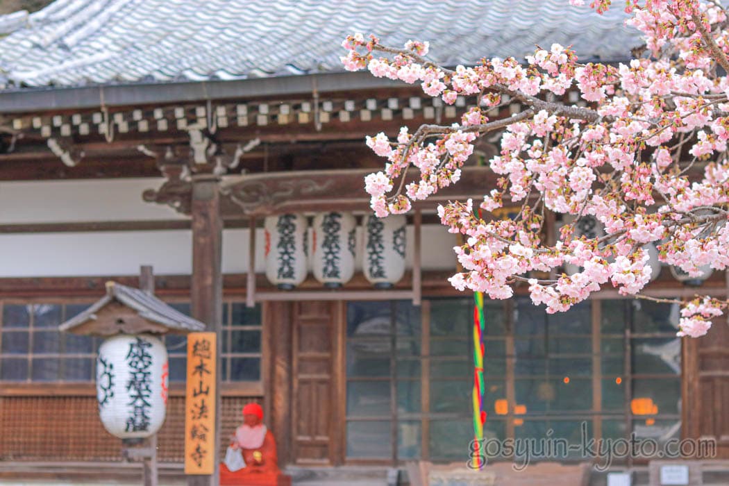 京都市嵐山の法輪寺の桜