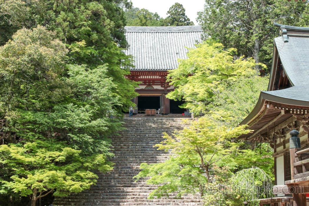 京都市右京区の神護寺の金堂