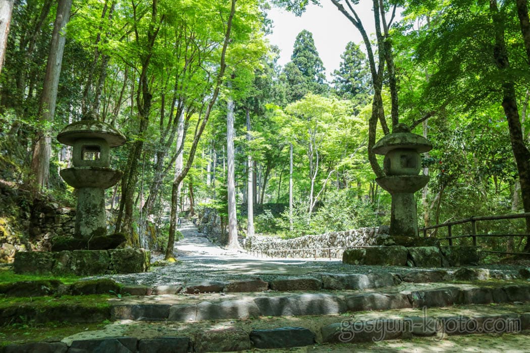 京都の三尾の高山寺