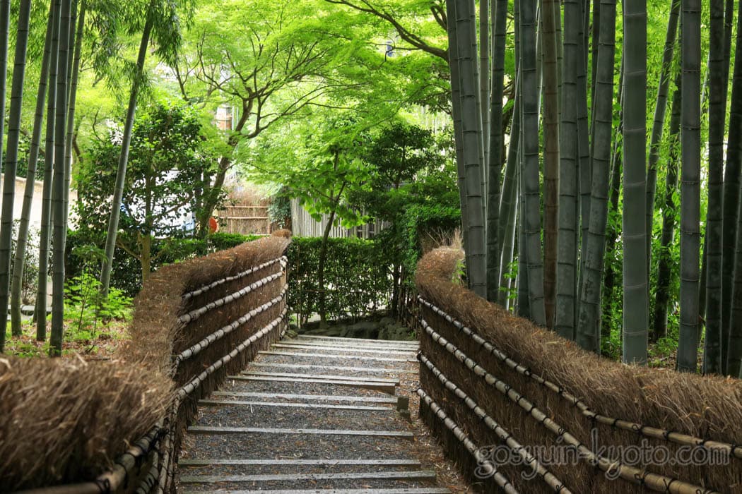 京都市右京区の化野念仏寺の竹林