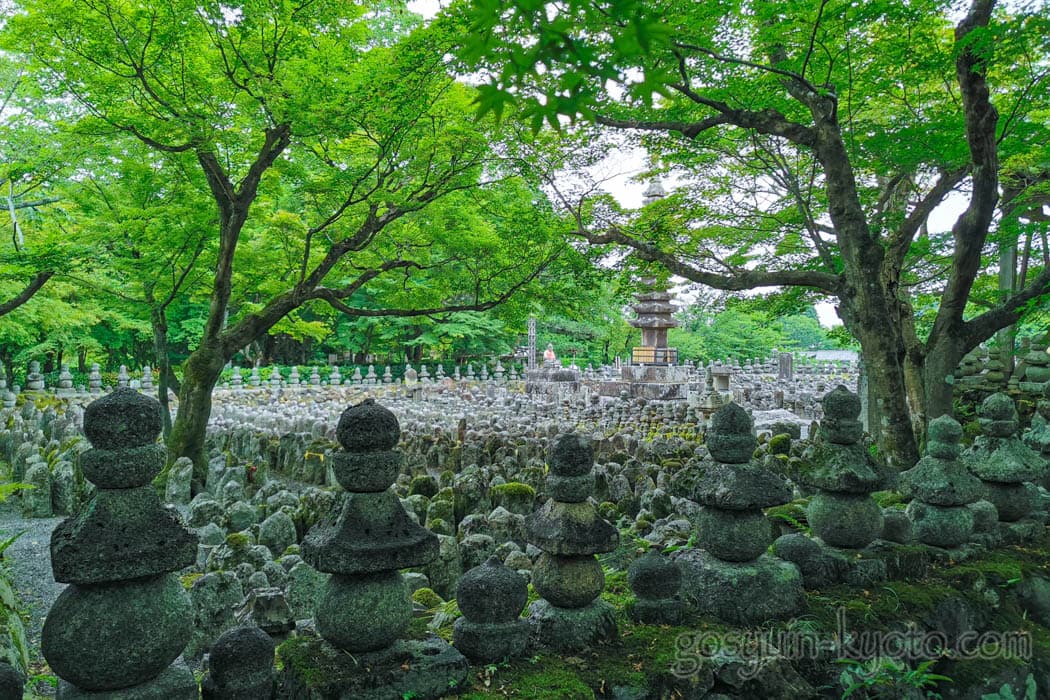 京都市右京区の化野念仏寺の新緑