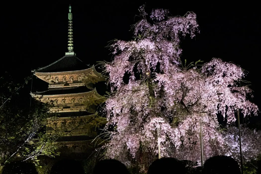 京都市南区の東寺の五重塔