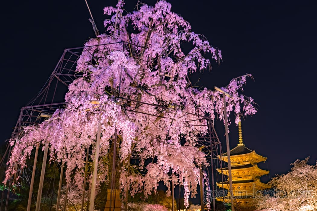 京都市南区の東寺の五重塔