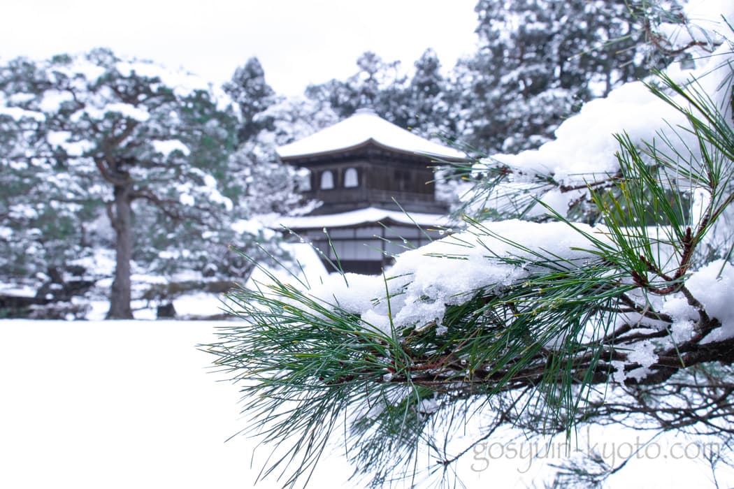 京都市左京区の銀閣寺の雪