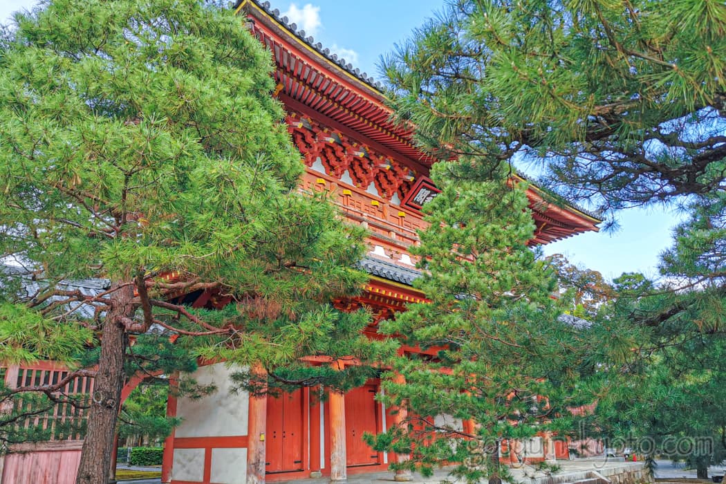 京都市北区の大徳寺の三門