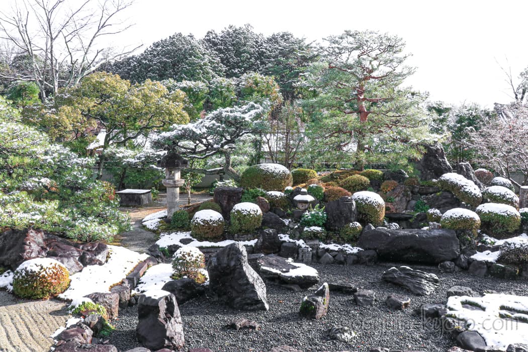 京都市左京区の妙満寺の雪の庭