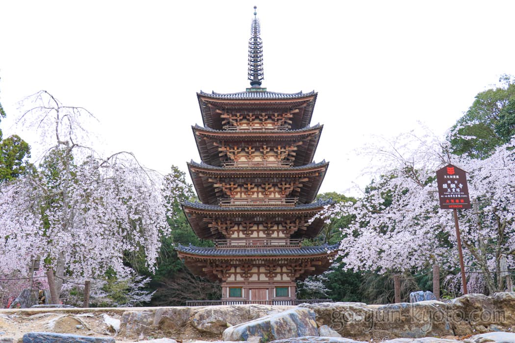 京都市山科区の醍醐寺の五重塔