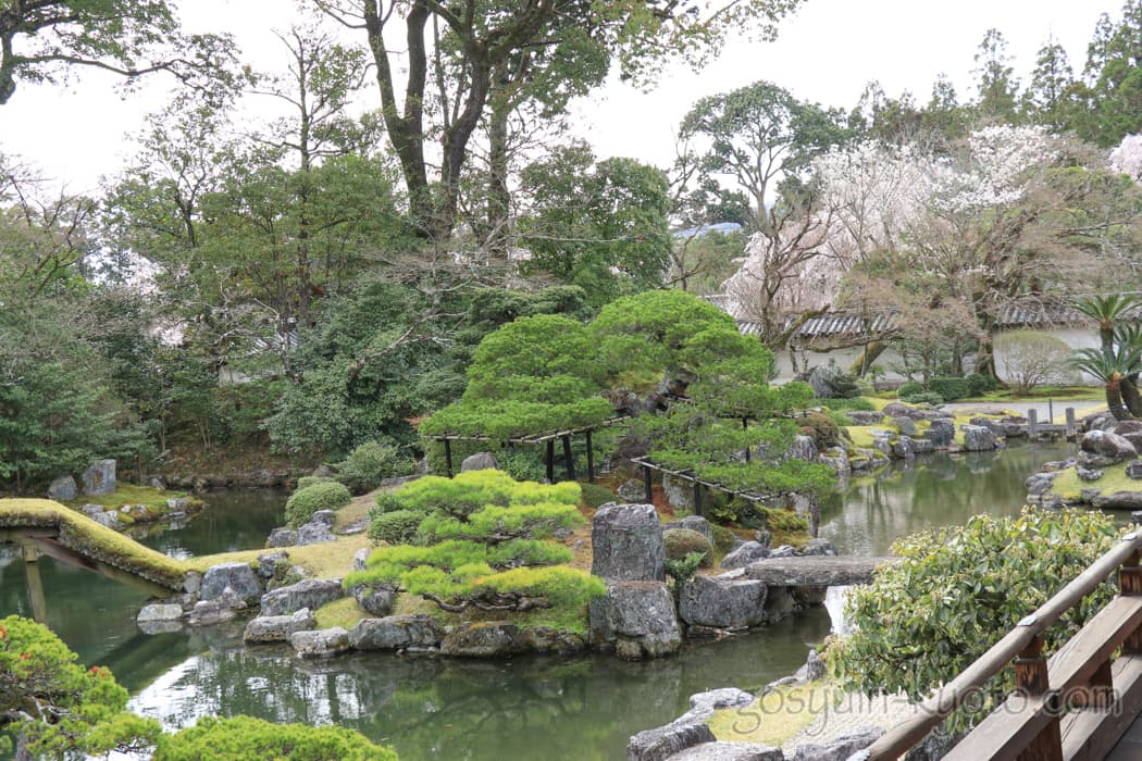 醍醐寺の三宝院の庭園