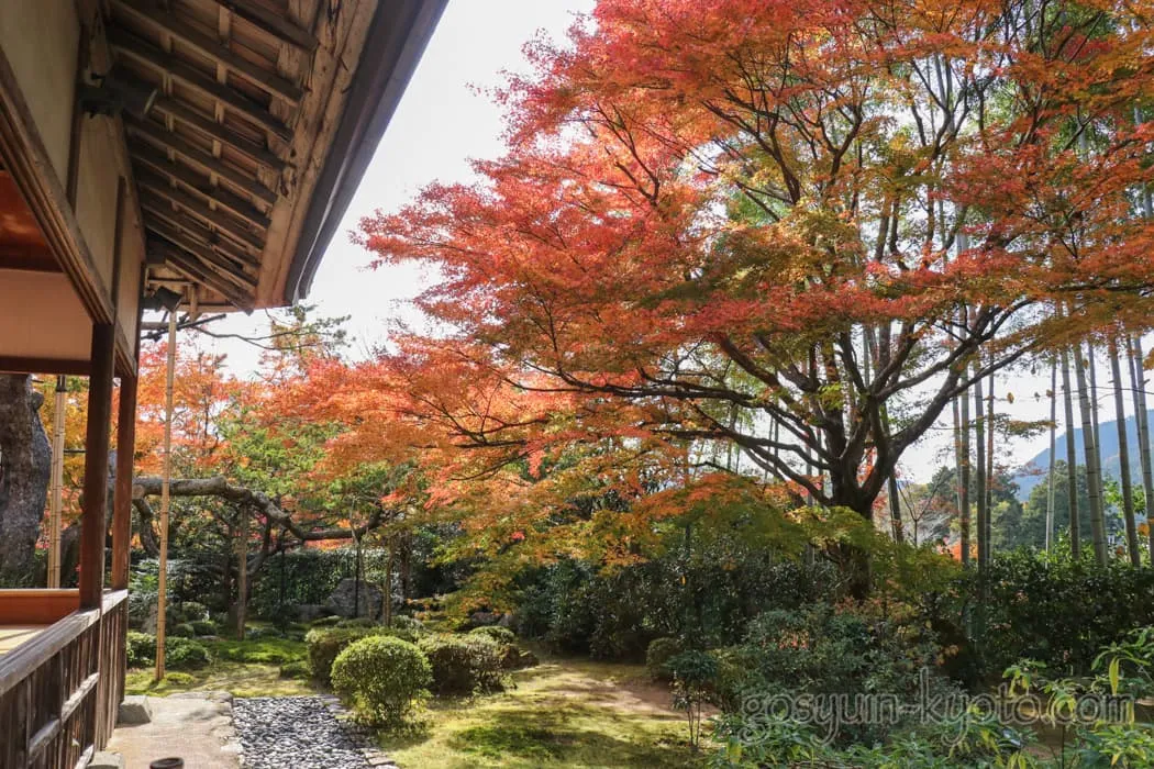 京都市左京区大原の宝泉院の庭園