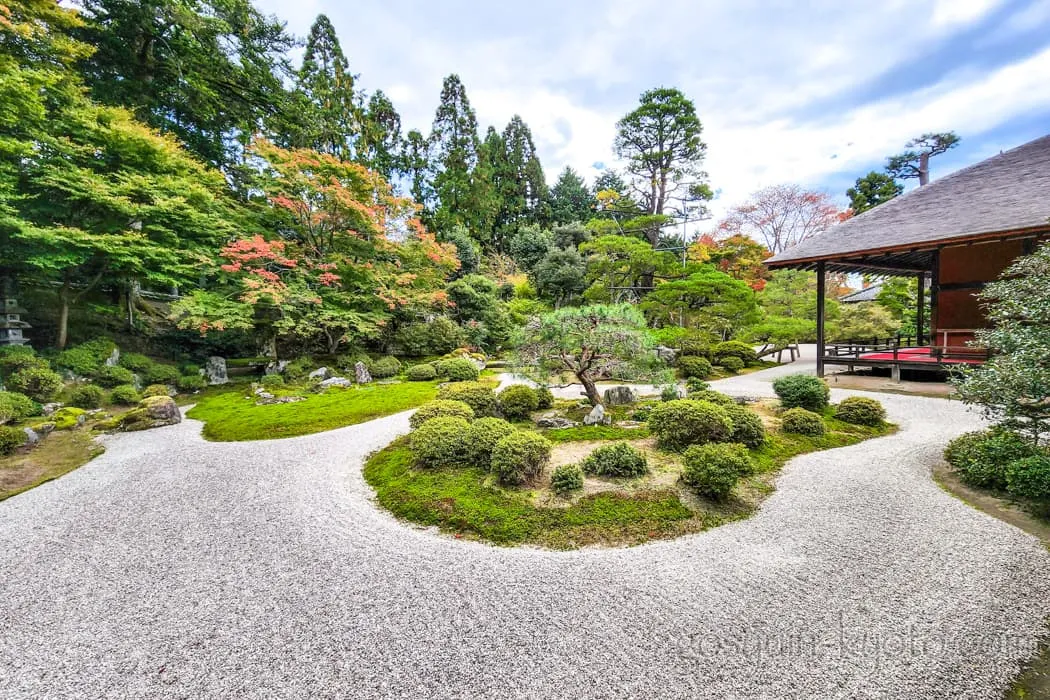 京都市左京区の曼殊院門跡の庭園