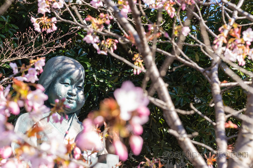 千本釈迦堂のおかめ塚と桜